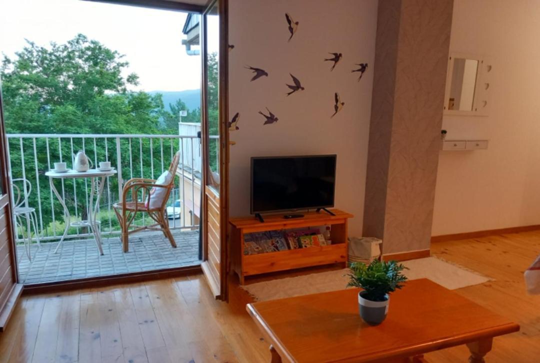 Apartamento Los Pajaritos Villanúa Екстериор снимка